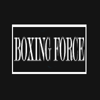 Boxing Force
