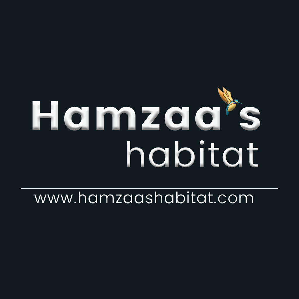 Hamzaa